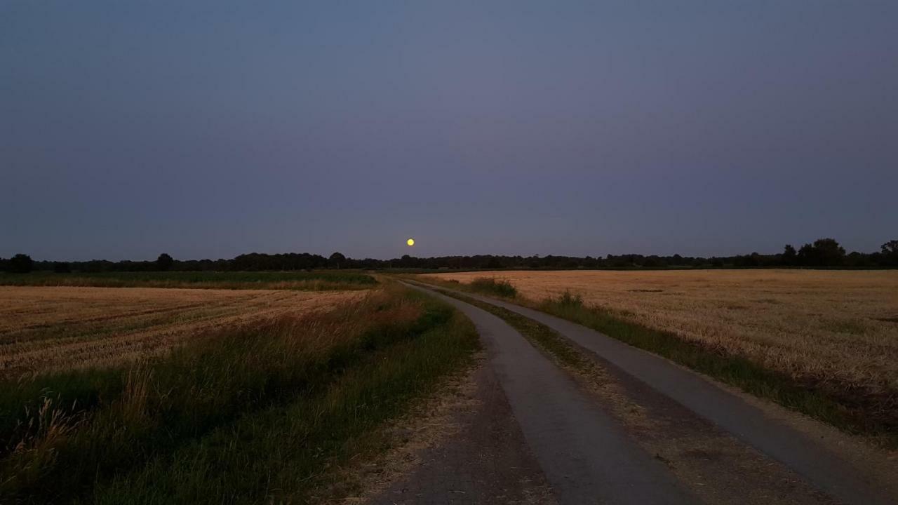 Ferienwohnung Utkiek Aurich Kültér fotó