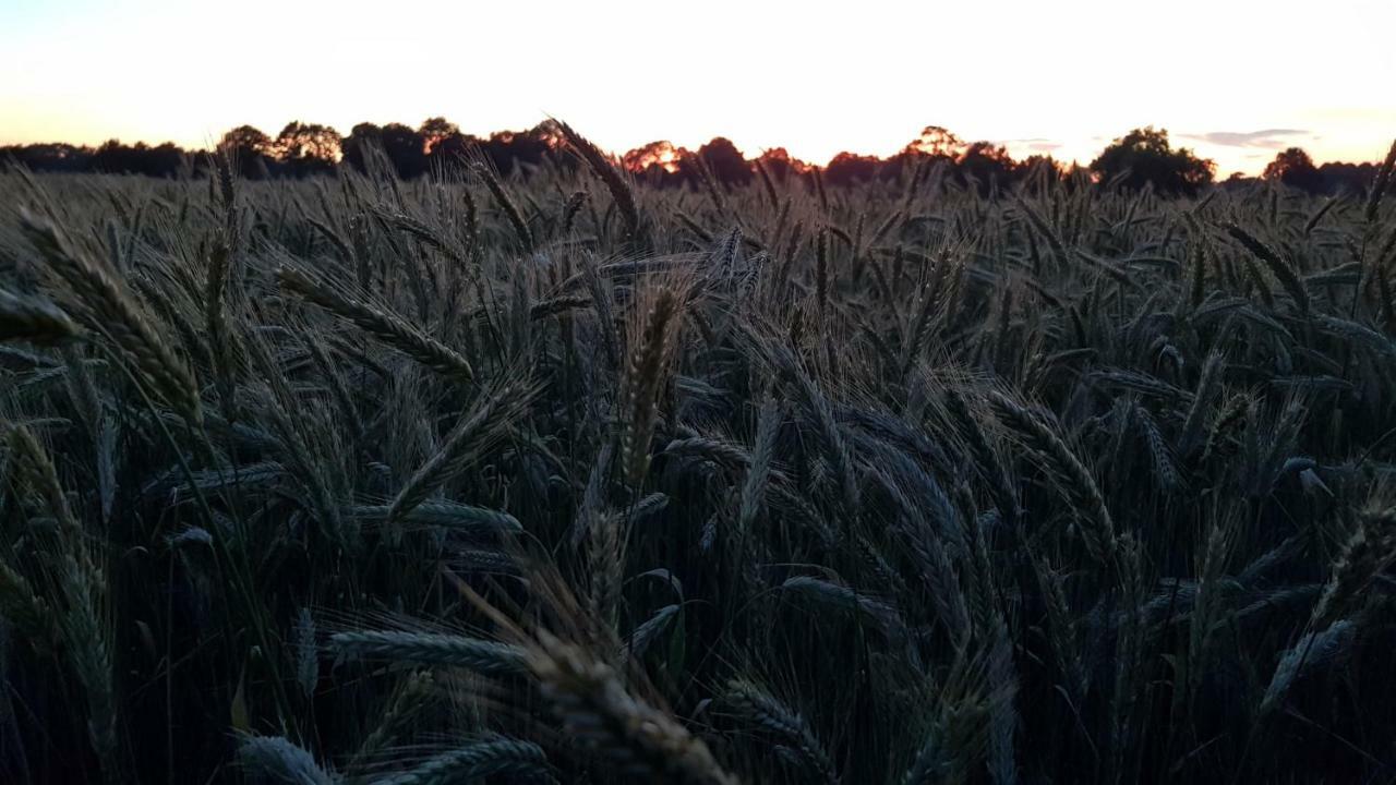 Ferienwohnung Utkiek Aurich Kültér fotó